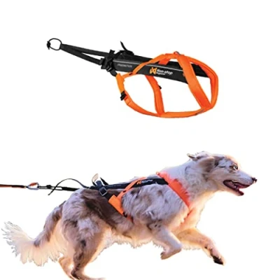 Image of Non stop dogwear Freemotion Harness 5.0 Dog Pulling for Sports like Running, Biking and Skiing with Dogs, Professional Adjustable Harness, Orange/Black, Size 5