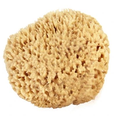 Image of Sea Wool Sponge 5 6 (Large) by Bath &amp; Shower Express Ã‚® Natural Renewable Resource!