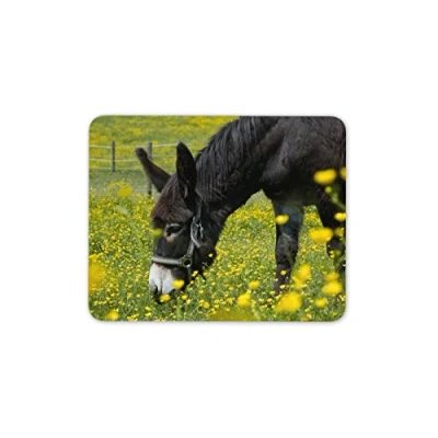 Image of Destination Vinyl Ltd Beautiful Donkey Mouse Mat Pad Horse Kids Cute Animal Gift PC Computer #8259