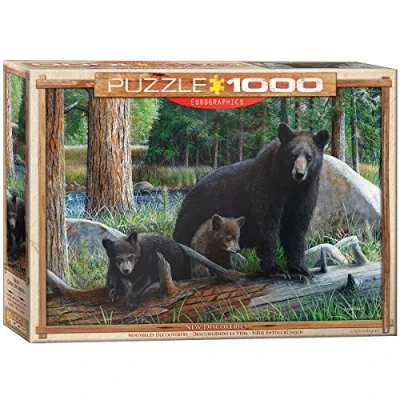 Image of EuroGraphics 6000 0793 New Discoveries Other License Jigsaw Puzzle, Various, 1000