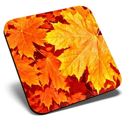 Image of Great Single Coaster Square Autumn Leaves Orange Leaf Glossy Quality Coasters Tabletop Protection for Any Table Type #44182