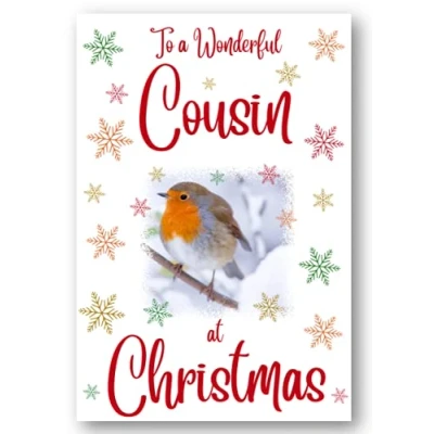 Image of Second Ave Cousin Christmas Robin Xmas Holiday Festive Greetings Card