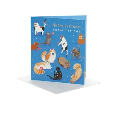 Image of UK Greetings Birthday Card from The Cat for Him/Her/Friend Cute Design