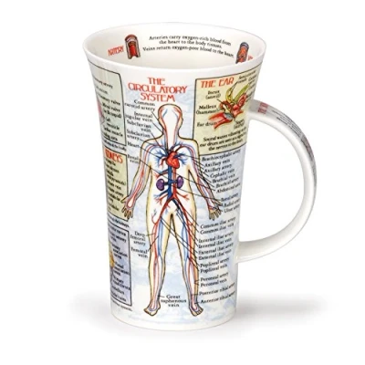 Image of Dunoon Glencoe Fine China Educational BODYWORKS Mug Cup 500ml