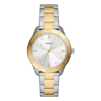 Image of Fossil BQ3888 Ladies Dayle Watch