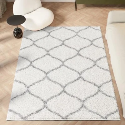 Image of homeart Area Rug Super Soft Geometric Shaggy Rugs For The Living Rooms, Bedrooms And Kitchen Modern, Easy To Clean Carpet(Trellis Ivory Grey 80x150 cm)