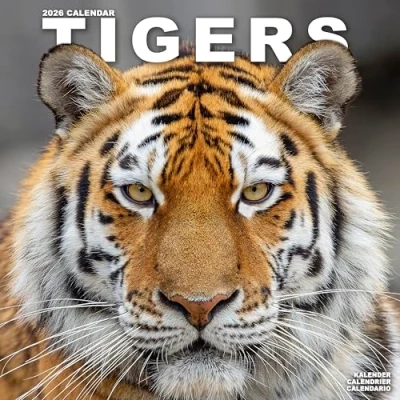 Image of Tigers Calendar 2026