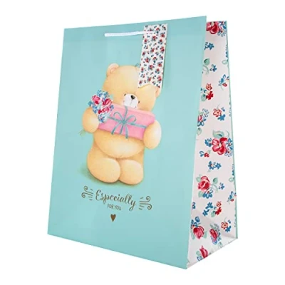 Image of Hallmark Multi Occasion Large Gift Bag Cute Forever Friends Design