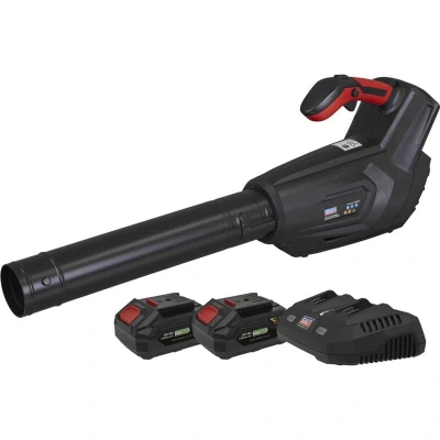 Image of Sealey Cordless Blower Kit 40V 4AH SV20 Series
