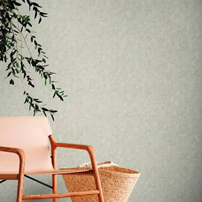 Image of Albany Wallpaper Plaster Effect 38639 6