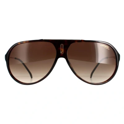 Image of Carrera Unisex Sunglasses, Size: One Size, Brown