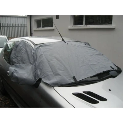 Image of FUSION 02 on WINDSCREEN FROST ICE SNOW PROTECTOR MIRRORS COVER CAR