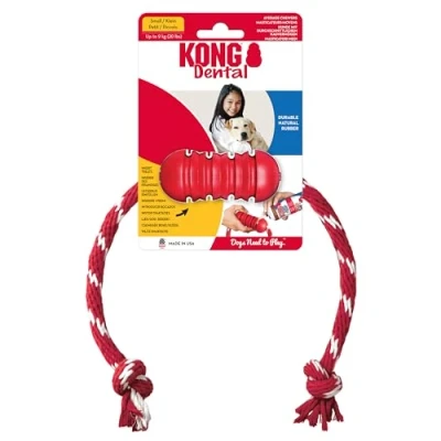 Image of KONG Dental With Rope Small