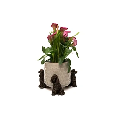 Image of Potty Feet Decorative Poodle Themed Plant Pot Bronze Color Set of 3