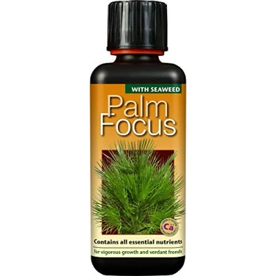 Image of Growth Technology Ltd,Black Palm Focus 300 ml