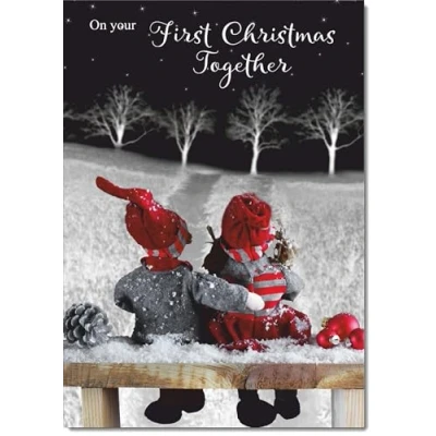Image of doodlecards 1st First Christmas Together Card Couple at Night Large A4 Size for with Plain Envelope