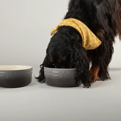 Image of Scruffs Ombre 2pc Ceramic Dog Bowl Set Grey 19cm