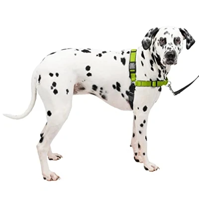 Image of PetSafe Easy Walk Deluxe Dog Harness, No Pull Harness Perfect for Leash &amp; Training Stops Pets from Pulling and Choking on Walks Large, Apple