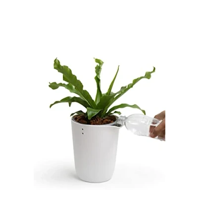 Image of QUALY Oasis QL10307 WH GY Round Flower Pot with Self Watering System in White Size S