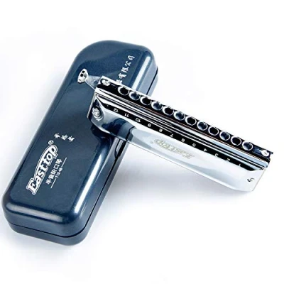 Image of T12 48 Standard Chromatic Harmonica 12 Hole Tone C Thickened Copper Plate, Mouth Organ, Suitable for Beginners, Students, Children, and Adults Instruments