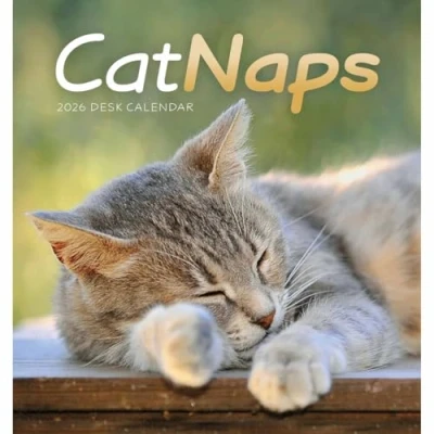 Image of Cat Naps Easel Desk Calendar 2026