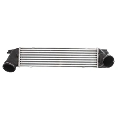 Image of 4881586 Intercooler NISSENS 96337 without EGR valve