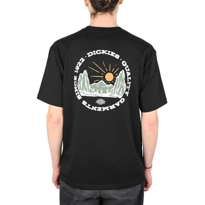 Image of Dickies Outdoor TEE Print Tshirt, Men&#039;s, Size: Small, Black