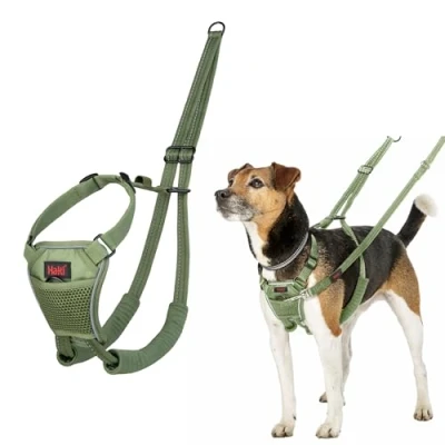Image of HALTI No Pull Harness to Stop Your Dog Pulling on the Leash. Adjustable, Lightweight and Easy Use. Reflective Training for Small Dogs (Size S, Forest Green)