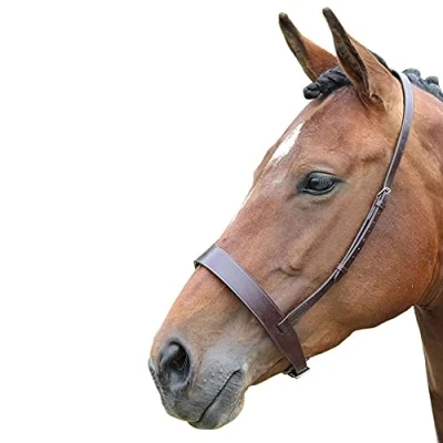Image of BLENHEIM HUNTER CAVESSON NOSEBAND HORSE EQUESTRIAN RIDING SHOWS EVENTING [BROWN] [FULL]