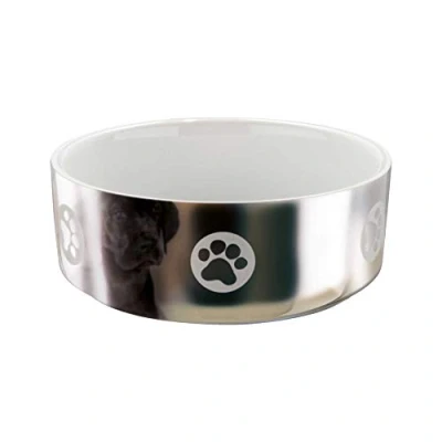 Image of Trixie Ceramic Bowl with Motif for Dogs, 0.8 Litre, Silver/White