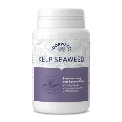Image of Dorwest Herbs Kelp Seaweed Tablets for Dogs and Cats 200
