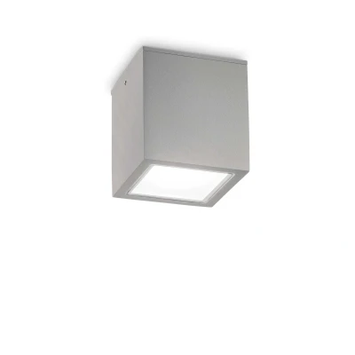 Image of Techo Big Surface Mounted Downlight Grey IP54
