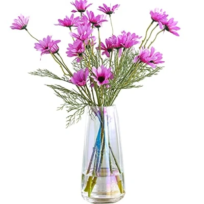 Image of Ins Modern Glass Vase Crystal Clear