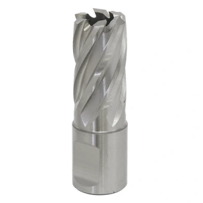 Image of Worksafe Rotabor Cutter HSS Ø18mm Cut Depth 25mm
