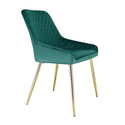 Image of RayGar Hamilton Accent Dining Chair With High Back Armchair Metal Tube Legs (Green)