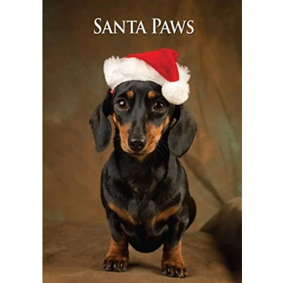 Image of Dachshund Christmas Cards. Bulk Pack of 8 Santa Paws Xmas Cards with envelopes by Charles Sainsbury Plaice.