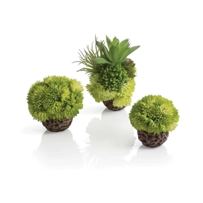 Image of biOrb Coral Ball Set green