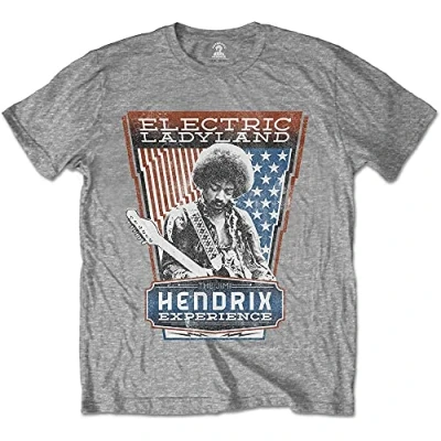 Image of Rockoff Trade Men&#039;s Jimi Hendrix Electric Ladyland T Shirt, Grey, Large