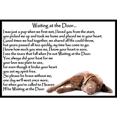 Image of Chocolate Brown Labrador Pet Dog Bereavement Memorial Flexible Fridge Magnet Waiting at the Door