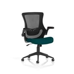 Image of Orbit Black Mesh Back Chair Bespoke Colour Seat Maringa Teal