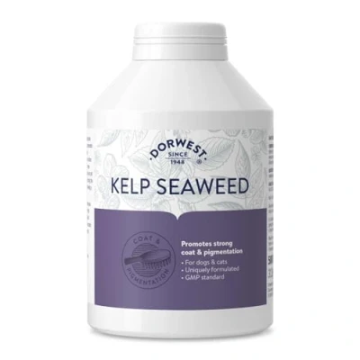Image of Dorwest Herbs Kelp Seaweed Tablets for Dogs and Cats 500