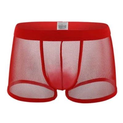 Image of Men Sexy Mesh Boxer Briefs, See Through Breathable Men&#039;s Briefs Underwear, Fishnet Sheer Low Rise Underpants Gift for Boyfriend, Daily Stretch Underwear Shorts, Hipsters Trunk