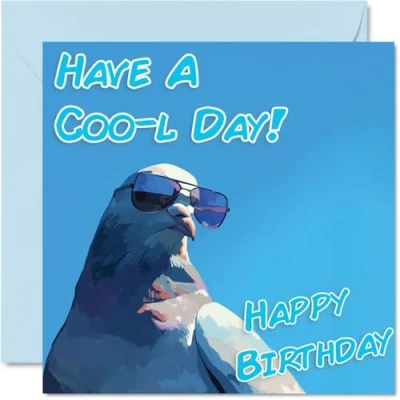 Image of Funny Birthday Cards for Women Men Cool Pigeon Sunglasses Happy Card Mum Dad Brother Sister Uncle Auntie Cousin Grandad Nanny Friend 145mm x Joke Pun Greeting