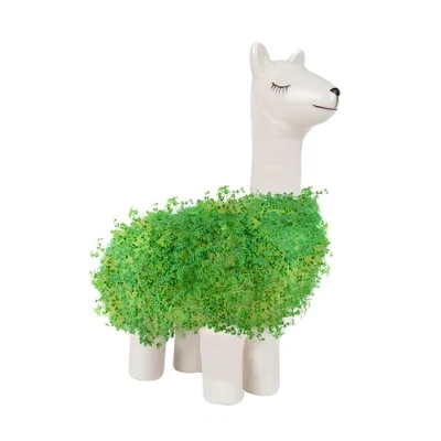 Image of Gift Republic Llama Shaped Chia Planter, White