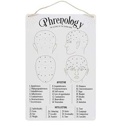 Image of Stunning White Phrenology Map Metal Sign 30cm x 20cm (1 Pc.) Decor Piece Unique Vintage Touch, Sturdy Material Ideal for Modern Home &amp; Office