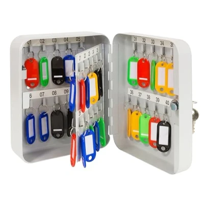 Image of Unbekannt Cabinet Box Made of Varnished Steel Lockable Hooks and Key Lock, Includes Writeable Keyrings, 20 x 16 8 cm, Light Grey, Alloy, Gray, 40 Schlüssel