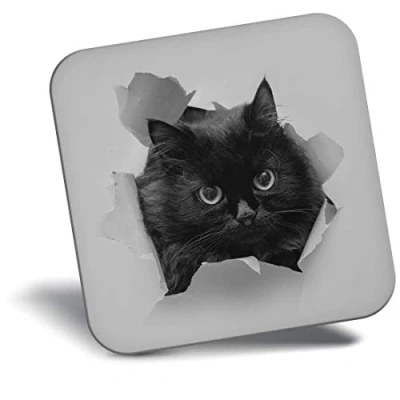 Image of Destination Vinyl ltd Fridge Magnet bw Funny Black Cat Kitten #43895
