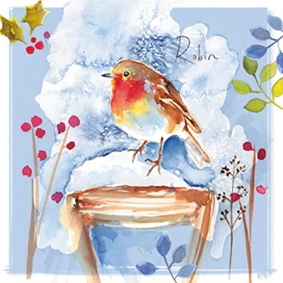 Image of Box of 20 Robin &amp; Stag Fairdeal Charity Christmas Cards In 2 Designs Boxed Xmas CHA0003