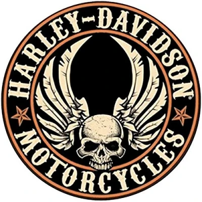 Image of Retro Reflective Stickers for Harley Davidson Central Skull Helmet