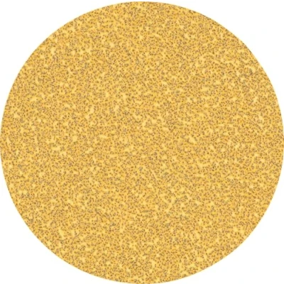 Image of Bosch Professional 50x Expert C470 Sandpaper (for Hardwood, Paint on wood, Ø 125 mm, Grit 40, Accessories Small Angle Grinder, Rotary Drill)